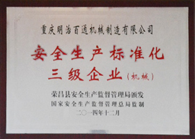 安全生產(chǎn)標準化三級企業(yè)