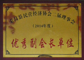 優(yōu)秀副會長單位